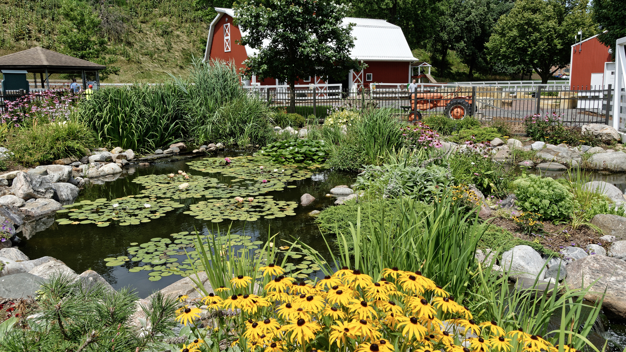 20190731-135811••North Mankato•Minnesota•USA